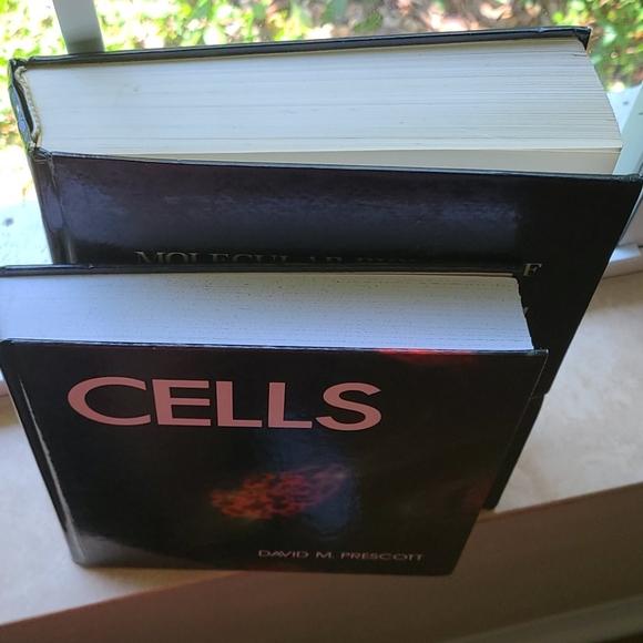 CELLS & MOLECULAR BUOLOGY OF THE CELL - Picture 15 of 15